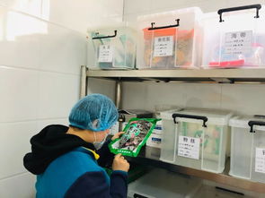 喜訊 我園食堂榮獲西安市餐飲服務(wù)食品安全年度等級A級評定